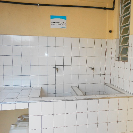 IMG - Controle de Pragas 2